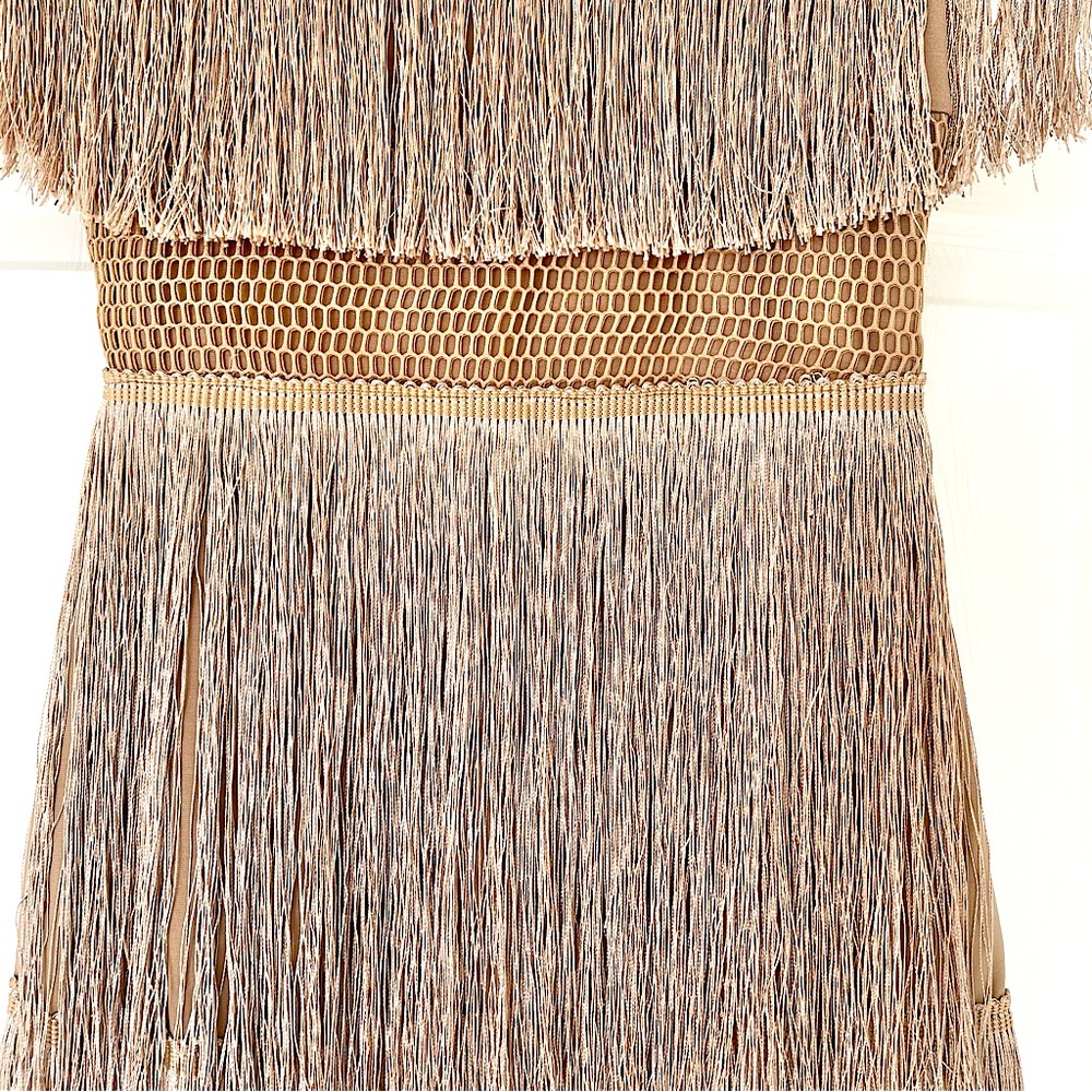 ASHLEY TASSEL DRESS PARTY DRESS - Picture 3 of 14